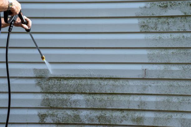 Best Basement Cleanout  in Robinwood, MD